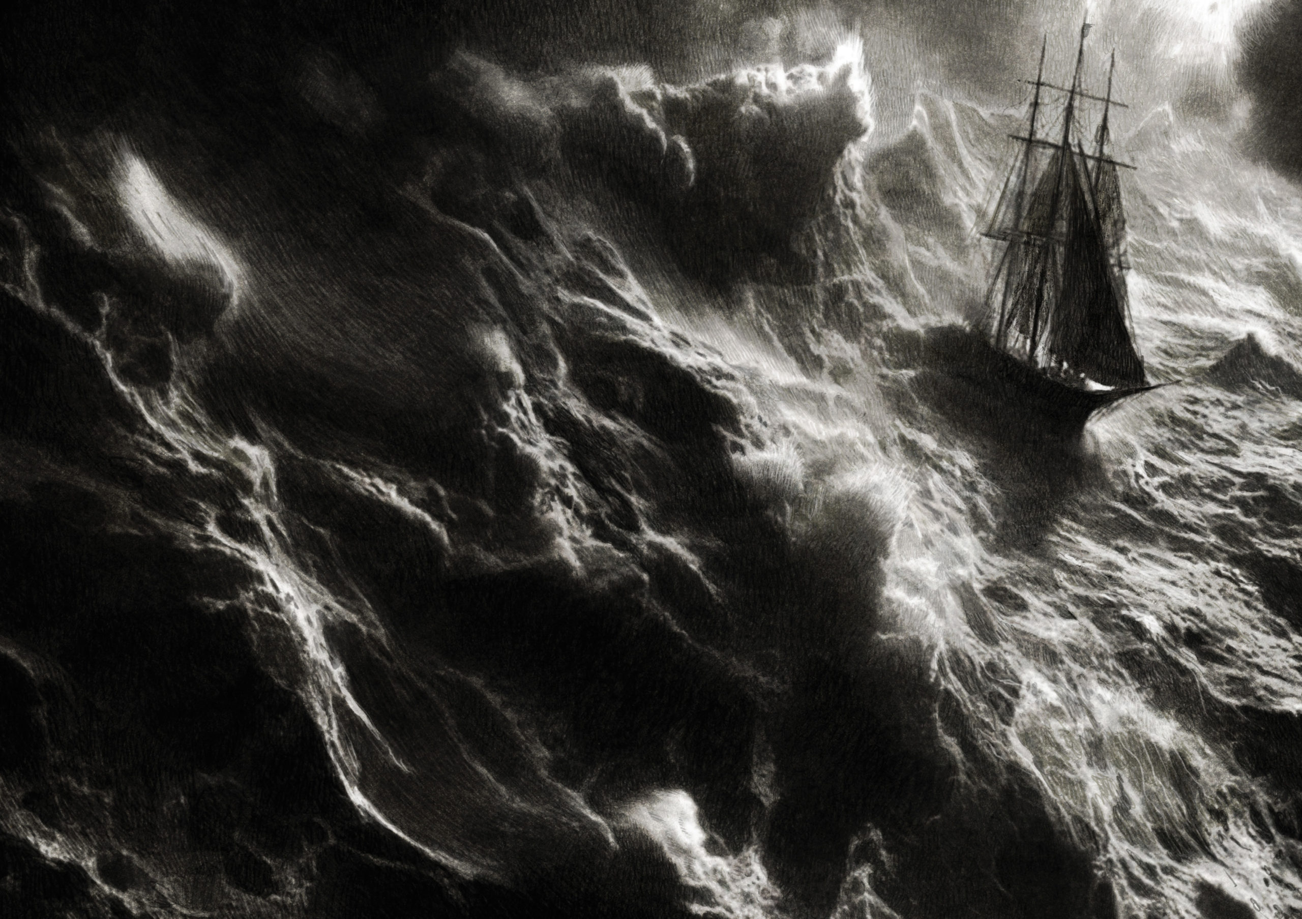 TAP_2025-Renard_vign